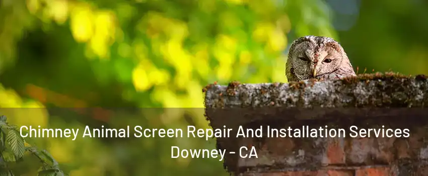 Chimney Animal Screen Repair And Installation Services Downey - CA