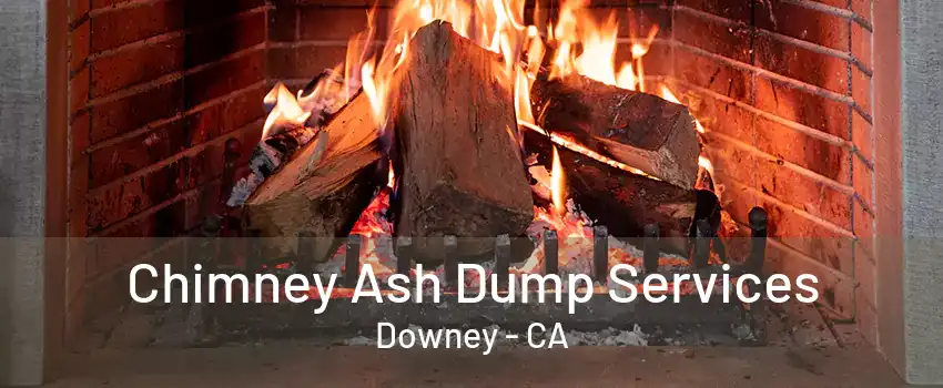 Chimney Ash Dump Services Downey - CA