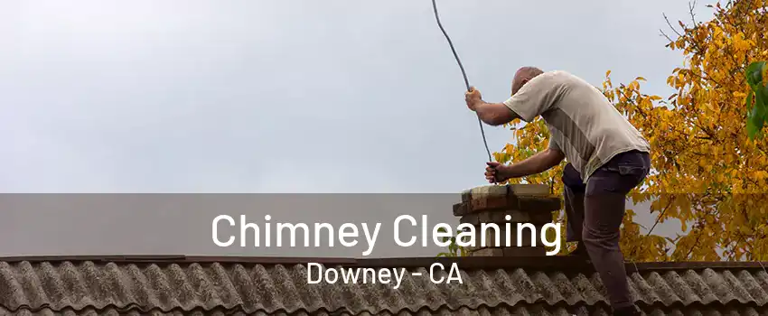 Chimney Cleaning Downey - CA