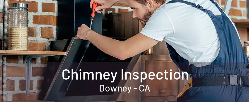 Chimney Inspection Downey - CA