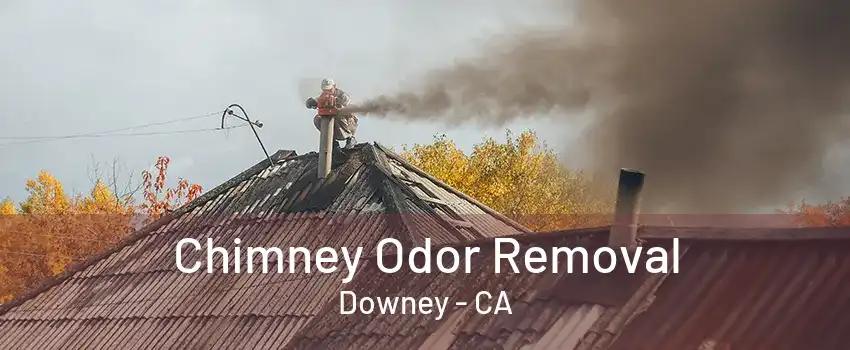 Chimney Odor Removal Downey - CA