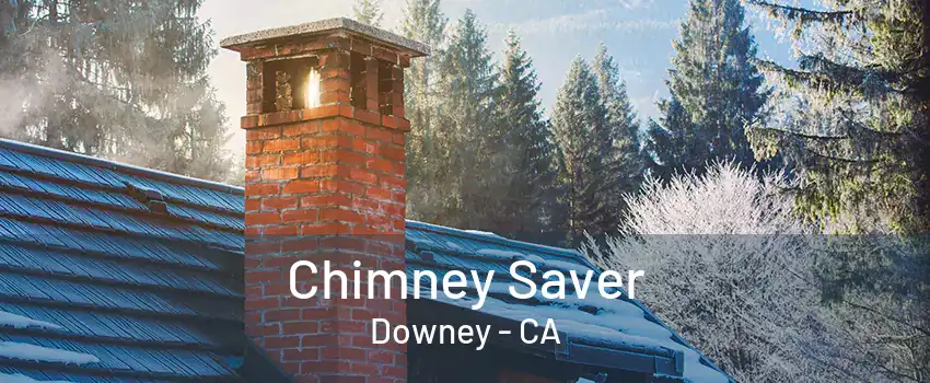 Chimney Saver Downey - CA