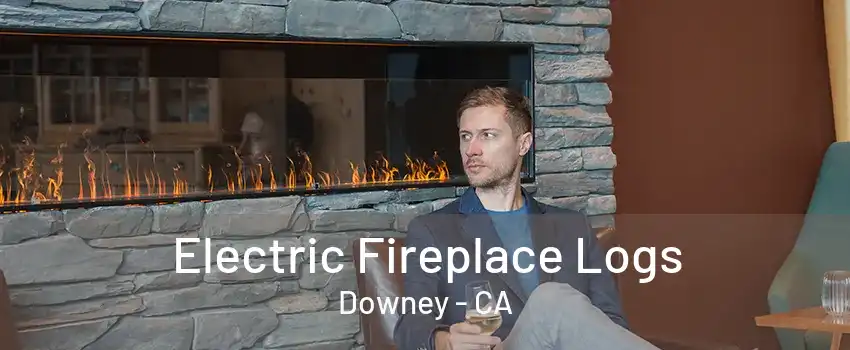 Electric Fireplace Logs Downey - CA