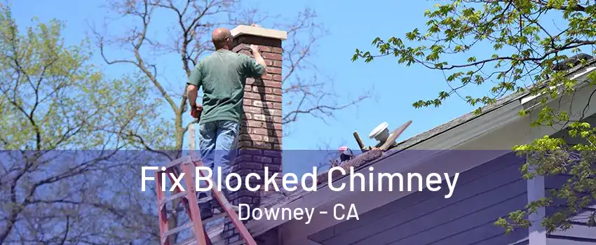 Fix Blocked Chimney Downey - CA