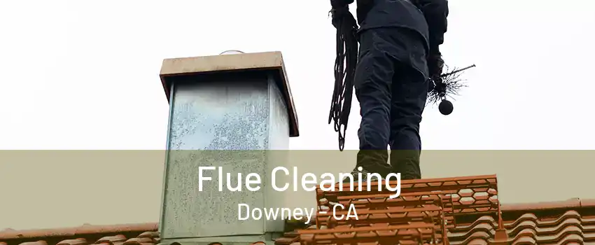 Flue Cleaning Downey - CA