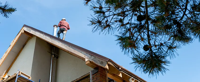 Birds Removal Contractors from Chimney in Downey, CA