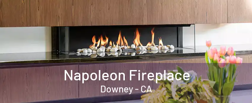 Napoleon Fireplace Downey - CA