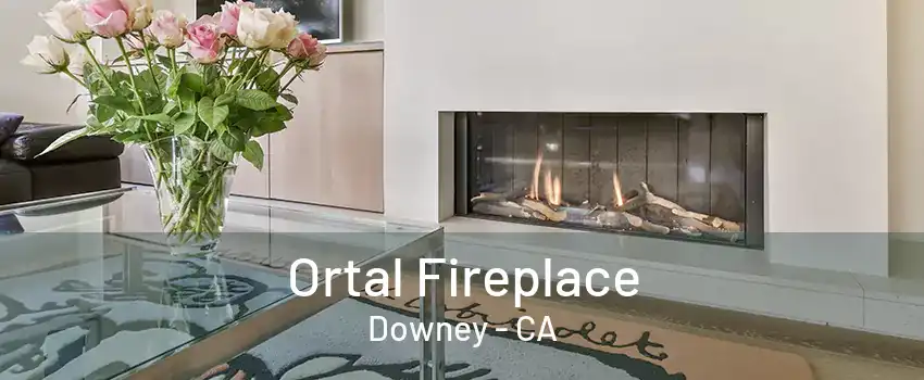 Ortal Fireplace Downey - CA